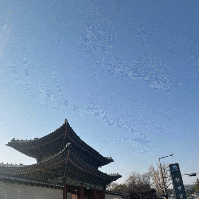창경궁(昌慶宮)🌸✨