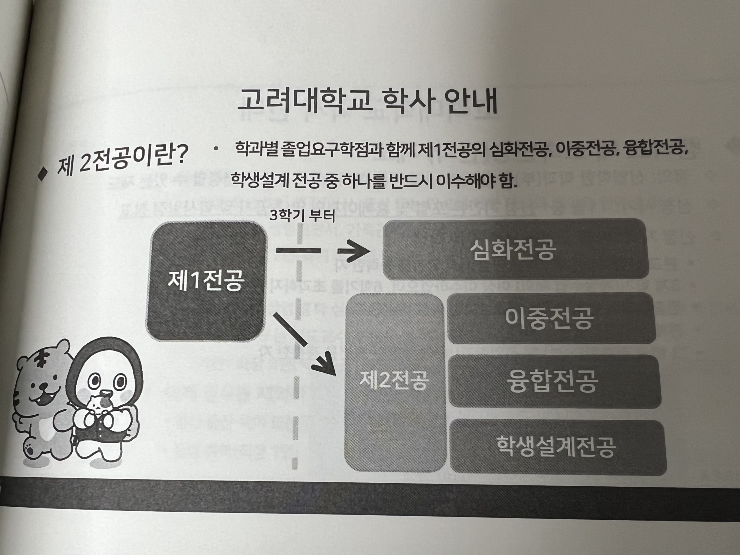 自分の専攻＋他専攻は当たり前❓高麗大学生の第二専攻や融合専攻について💡
